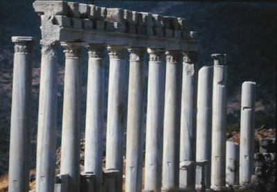 Rovine del Tempio di Traiano da Roman